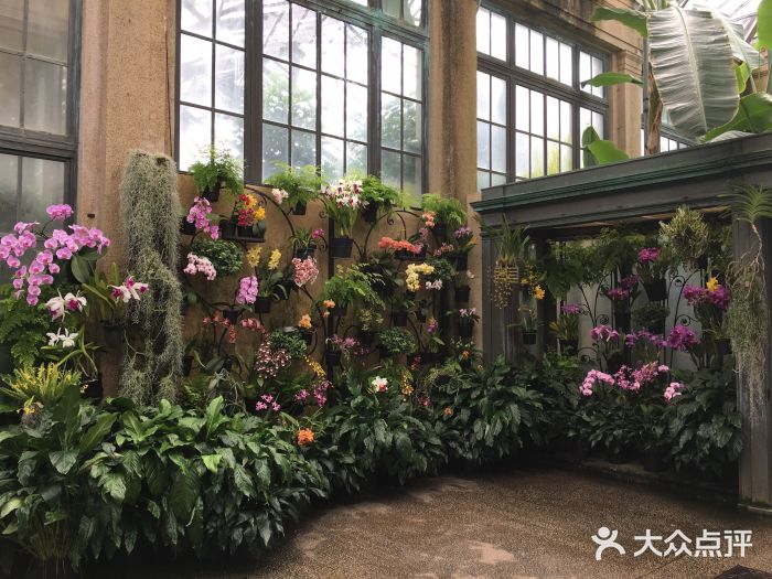 长木花园图片