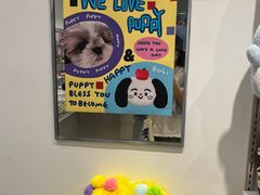 -萌物合辑(新中关购物中心店)