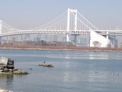 -台场海滨公园船码头