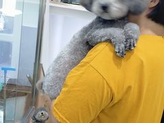 -宠福鑫康馨动物医院·骨科·眼科