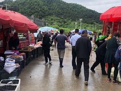 -示范集贸市场