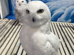 -成都浩海立方海洋公园