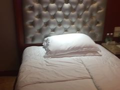 -圣爵菲斯大酒店(长沙世界之窗店)