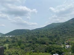 -树山生态村