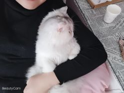 -Beauty Nails 美甲美睫皮肤管理