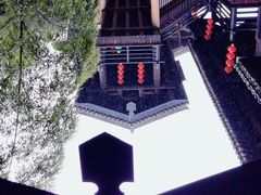 -大唐贡茶院