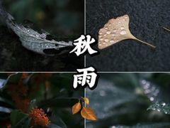 -万达广场(松江店)