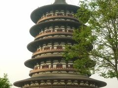 -洛阳郁金香牡丹园