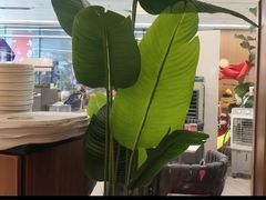 -一沙一城·岩烤牛扒(深圳首店)