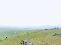 -恋山坝上草原
