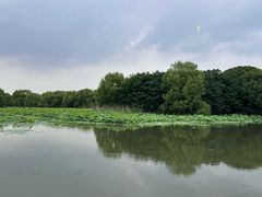 -梁鸿国家湿地公园