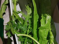 -狼头山火锅 KTV欢唱·烤串(理工大学店)
