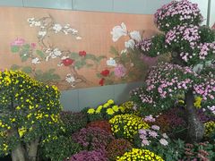 -杭州植物园