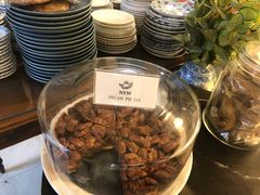 大堂-Fern Forest Cafe