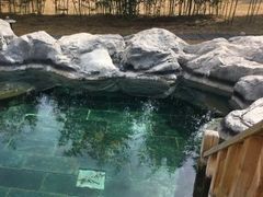 -和园景逸大酒店朗月汤泉