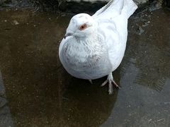 android_upload_pic-迎泽公园