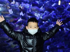 -哈尔滨波塞冬海底世界