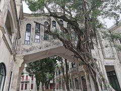 -赤坎·广东华侨国际旅游度假区