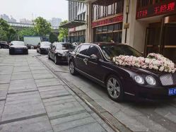-蚂蚁婚车