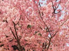 -龟山风景区-龟山电视塔