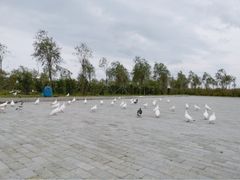 -呼兰河口湿地公园