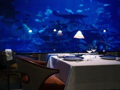 -迪拜帆船酒店海底餐厅