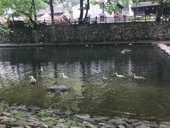 -鹿亭中村