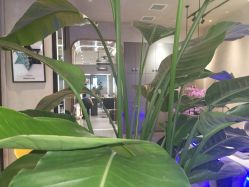 -SEBASTIAN塞巴斯汀