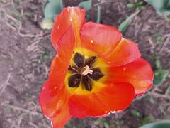 -长春公园(普阳街道)