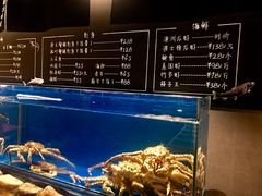 水产区-綱元·海鲜豆捞(明州里店)