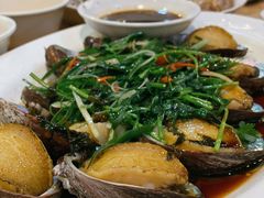 鲍鱼-揭阳钟记小食(福田新村店)