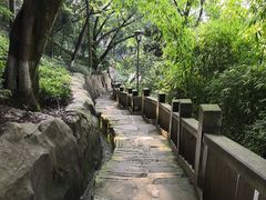 -重庆平顶山公园