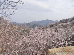 -龙泉峪长城