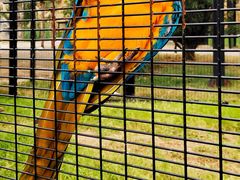 -祥源·阜阳生态乐园