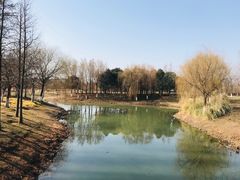 -贡湖湾湿地公园