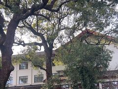 -普陀山雷迪森庄园