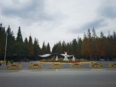 -东平国家森林公园