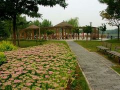 -望湖公园