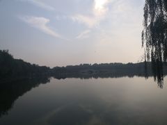 -塘沽森林公园