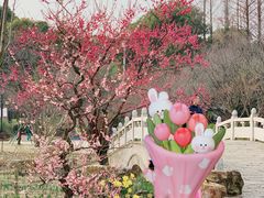 -苏州上方山国家森林公园