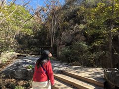 -大岭沟猕猴桃谷风景区