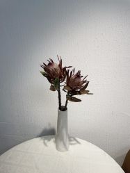 -小梨·OndaPro·专业脱毛连锁机构