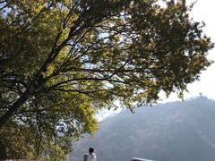 -少华山国家森林公园