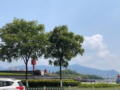 -江心屿景区