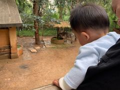 -昆明动物园