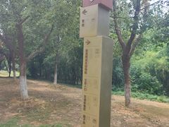 -盘龙城国家考古遗址公园