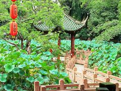 -房湖公园