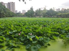 -西南交通大学(九里校区)
