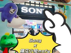 -Sony Store 索尼(上海淮海中路店)