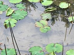 -四川大学(华西校区)